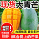 新鲜大青芒果新鲜现摘青皮金煌芒水果大果肉厚皮薄 带箱8斤大果400g+