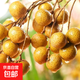 泰国龙眼新鲜进口鲜桂圆大果应季现摘鲜甜水果京东包邮 带盒10斤装