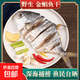 诚王林湛江金鲳鱼干400-450克/条 海捕鲜鱼淡盐生晒干货海鲜鱼干 8-9两/条*5条