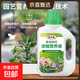植物营养液通用型家用盆栽发财树富贵竹绿萝水培花卉绿植蔬菜肥料 通用营养液500ml×1瓶