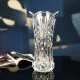 bingyi透明大号富贵竹玻璃花瓶 欧式水晶品质花瓶摆件工艺花插 35龙珠