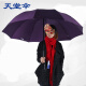 天堂伞雨伞三折10骨加大2-3人可用超大加固男女晴雨伞33212E碰 紫色