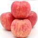山东烟台 红富士苹果 冰糖心苹果 新鲜水果 2.5kg 5斤