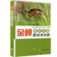 金蝉高效养殖新技术问答 金蝉养殖与利用 知了猴成虫蚱蝉（黑蚱）高效养殖技术书籍
