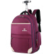 威盛达休闲拉杆包大容量双肩背包旅行包时尚商务出行可登机拉杆背包 紫色 19英寸 可登机