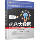 玩转大数据：商业分析＋运营推广＋营销技巧＋实战案例/玩转移动互联网营销系列