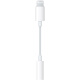 Apple Lightning/闪电 转 3.5毫米耳机插孔转换器/转换头 iPhone iPad 手机 平板 转接头
