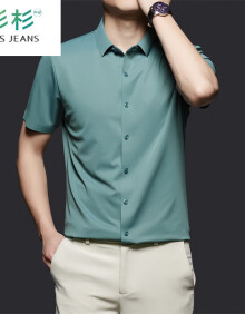 FIRS JEANS杉杉免烫夏季通勤商务男士短袖衬衫刺绣2024新款衬衣男装衬衫 绿色 XL
