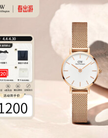 丹尼尔惠灵顿（DanielWellington）dw手表女 流金女士手表简奢石英欧美腕表 生日礼物送女友 32mm玫边白盘玫金钢带-DW163