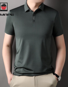 AEMAPE苹果夏季新款2024时尚百搭纯色男士短袖商务休闲薄款短袖polo衫男 绿色 XL