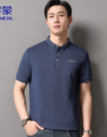 罗蒙（ROMON）短袖男夏季商务短袖T恤男修身POLO体恤衫上衣休闲男装 蓝色 XL 