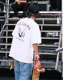 #RemHtml($!{product.content.wareName})