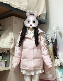 #RemHtml($!{product.content.wareName})