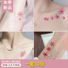 #RemHtml($!{product.content.wareName})