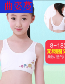 【小学女孩内衣】价格_图片_品牌