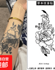 #RemHtml($!{product.content.wareName})