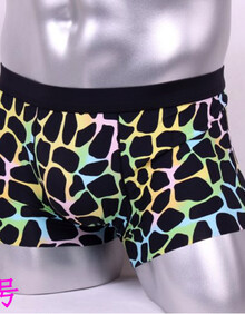 【男土透明内裤】价格_图片_品牌