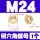 M24 (1粒)