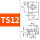 TS12