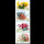 2002-14 沙漠植物邮票4枚