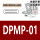 DPMP-01 专票