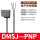 DMSJ-PNP-020