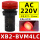 XB2BVM4LC 红色指示灯 220V