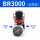 BR3000(RLP牌)