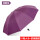 黑胶双人伞深紫色-直径106cm