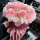 11朵粉康乃馨花束