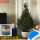 精品云杉圣诞树1.8-2米高 0个 0cm