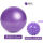 紫色普拉提球+刺猬按摩球