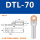 DTL-70(厂标)10只