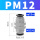 PM12(黑帽)