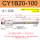 CY1B20-100