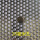 10毫米圆孔镀锌板2毫米厚×1米×