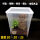 树栖盒透明+植物+树皮+椰土 +玻璃水盆