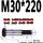 M30*220（1支）