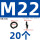M22(20个)