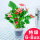 特级红掌土培玻璃盆(6-8花)