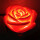 红色玫瑰花-1W