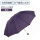 紫兰-双人加大雨伞