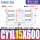 CDY1L15600