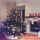 精品云杉圣诞树3.4-3.6米高 0个 0cm