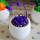 深紫（材料包）+塑料花盆+泡沫 +