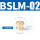 BSLM02