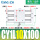 CDY1L10-100