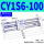 CY1S6-100