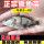 200条 白眼鳜鱼1-2厘米
