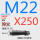 M22*250 40CR淬火